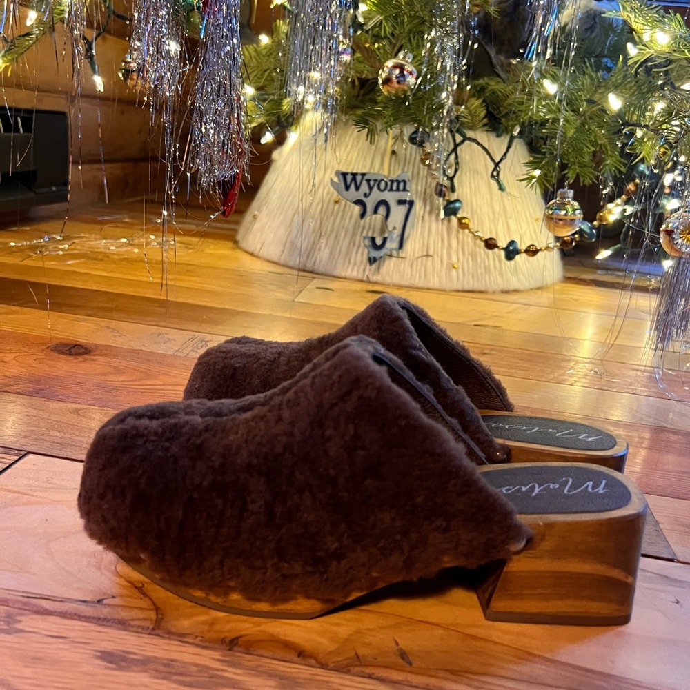 Shearling Wooden Clogs